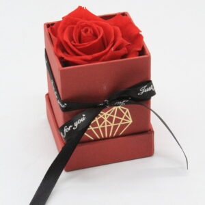 For Ever Rose κόκκινο