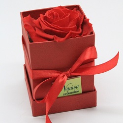 Βαλεντίνος